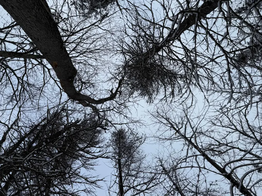 TBD Wallin Road, Iron River, WI 54847 - #2