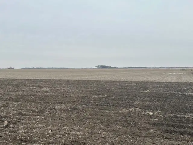 XXX 240th Street, Austin, MN 55912 - #1