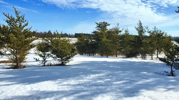 tbd Cattail Lane E, Bemidji, MN 56601