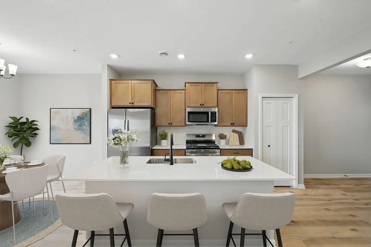 10318 Birchwood Circle, Chaska, MN 55318 - #1