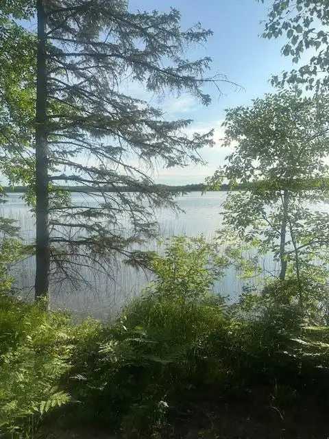 TBD Vandermeer Court Nw, Bemidji, MN 56630