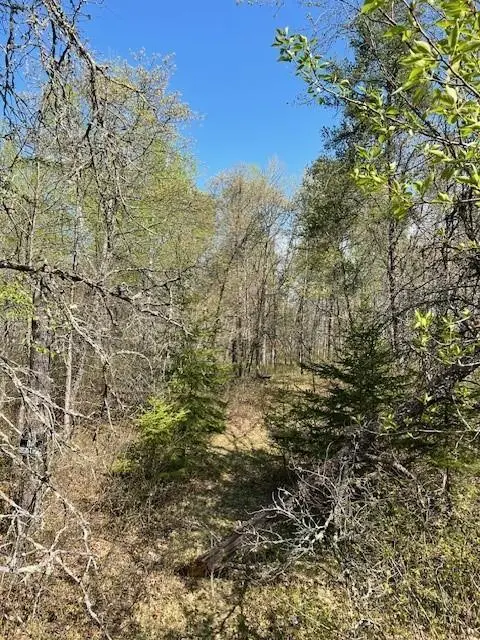 TBD Mikes Road Sw, Bemidji, MN 56601