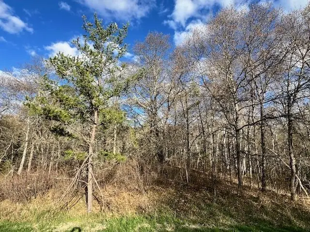 TBD Mikes Road Sw, Bemidji, MN 56601 - #2