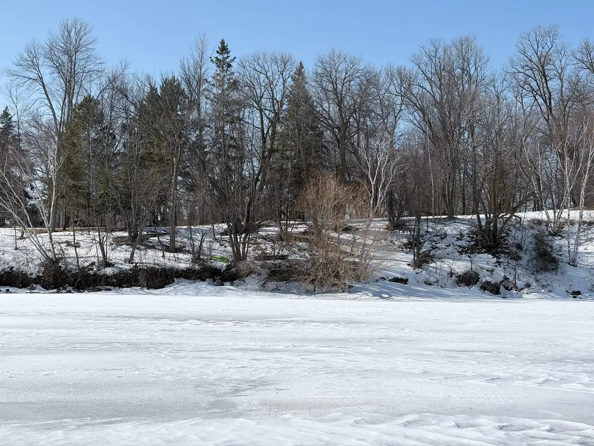 798 S Shore Drive, Detroit Lakes, MN 56501 - #1