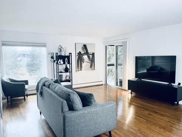 2485 Canabury Drive #205, Saint Paul, MN 55117