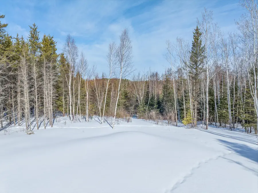 8352 Highway 21 N, Babbitt, MN 55706 - #3