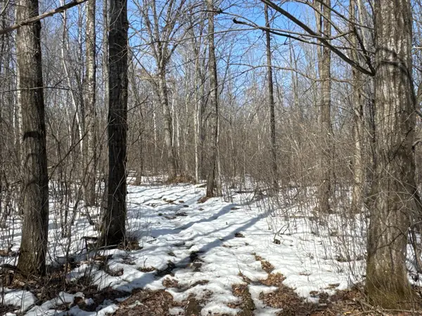 27XX 11th Avenue, Chetek, WI 54728