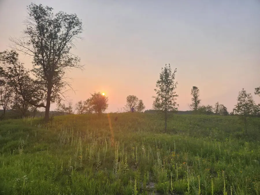 24793 Franklin Lake Road, Pelican Rapids, MN 56572 - #2