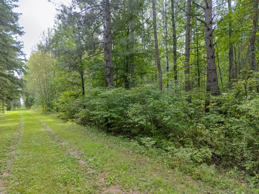 TBD Town Road #55, Big Falls, MN 56627 - #2