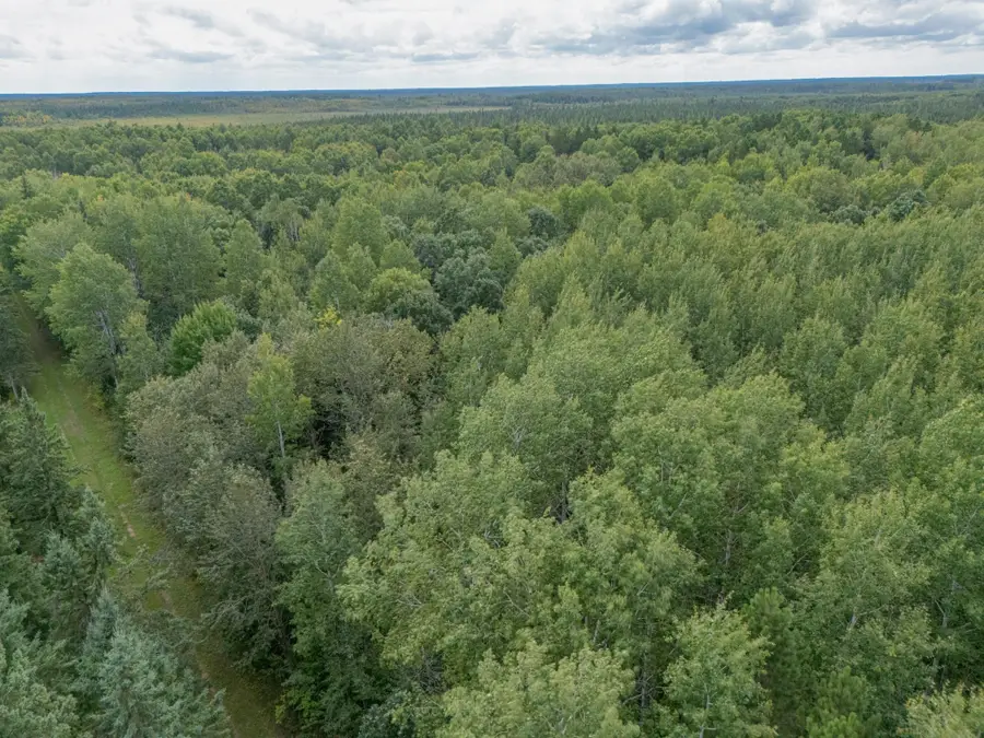 TBD Town Road #55, Big Falls, MN 56627 - #3