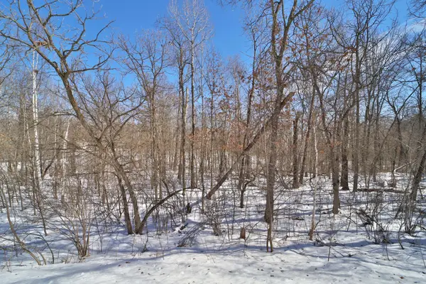 TBD Percheron Drive, Breezy Point, MN 56472