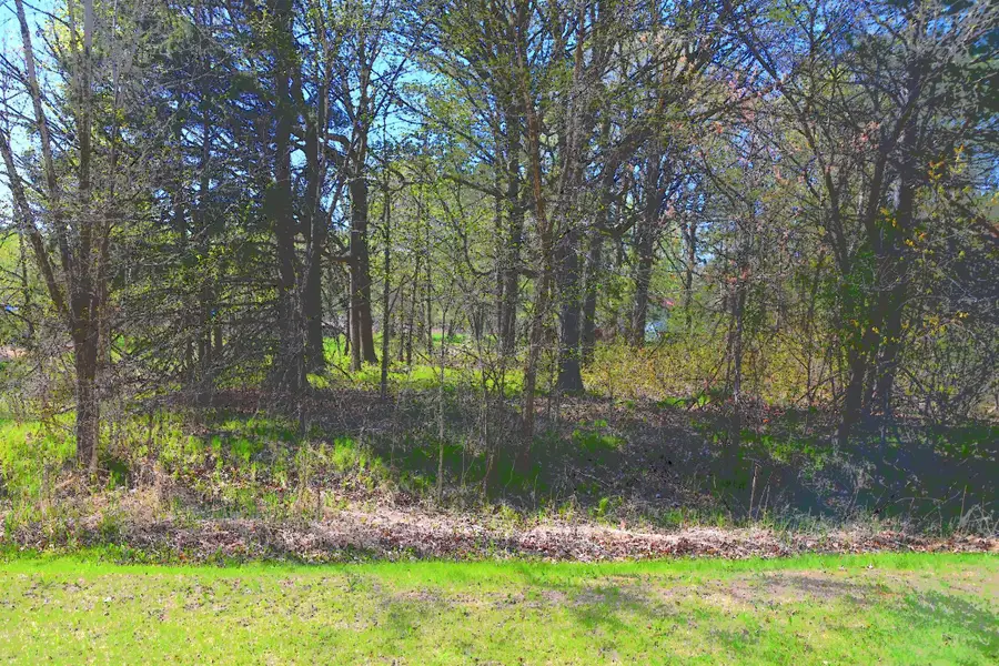 TBD Plum Drive, Browerville, MN 56438 - #3