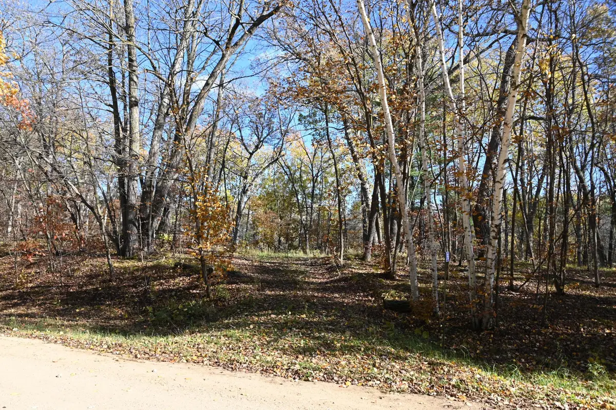 39906 Pine Island Pt Drive, Browerville, MN 56438 - #1