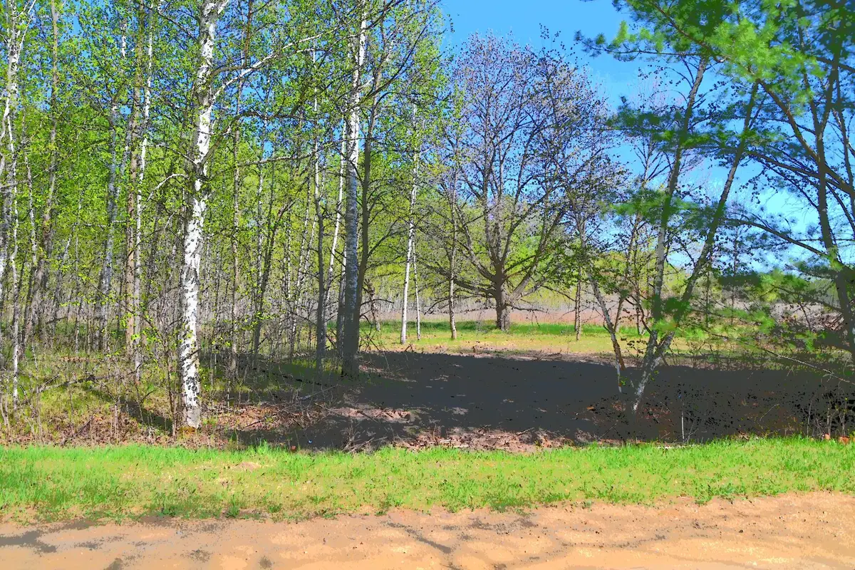TBD Poplar Lane, Browerville, MN 56438 - #1