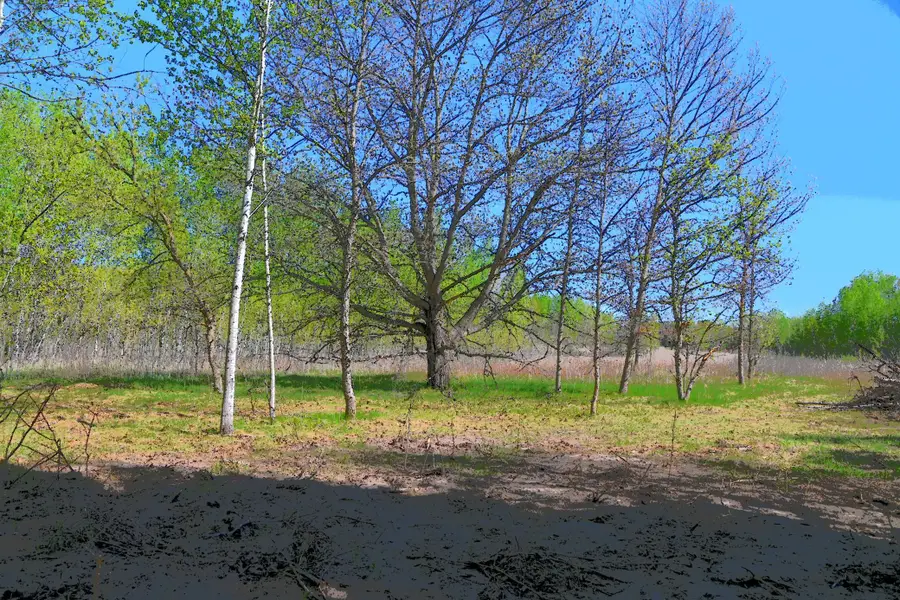 TBD Poplar Lane, Browerville, MN 56438 - #3