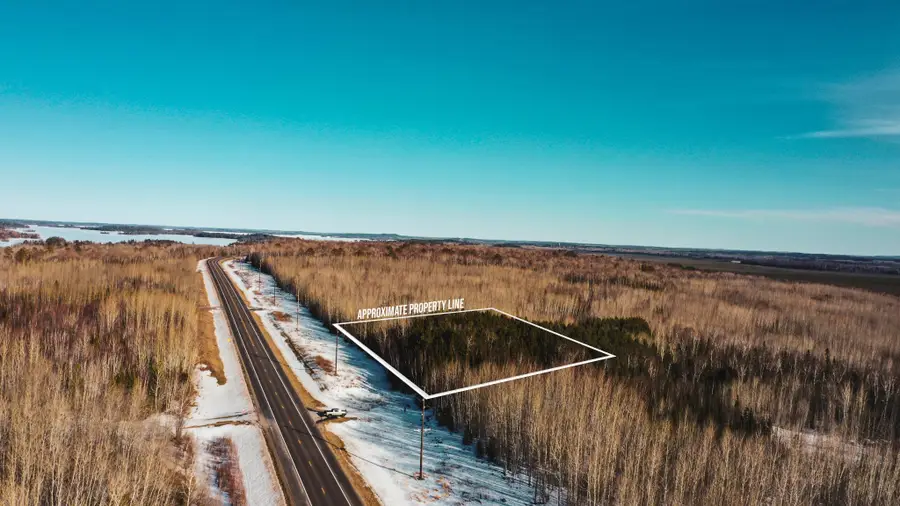 TBD Parcel 17 Hwy 115, Tower, MN 55790 - #2