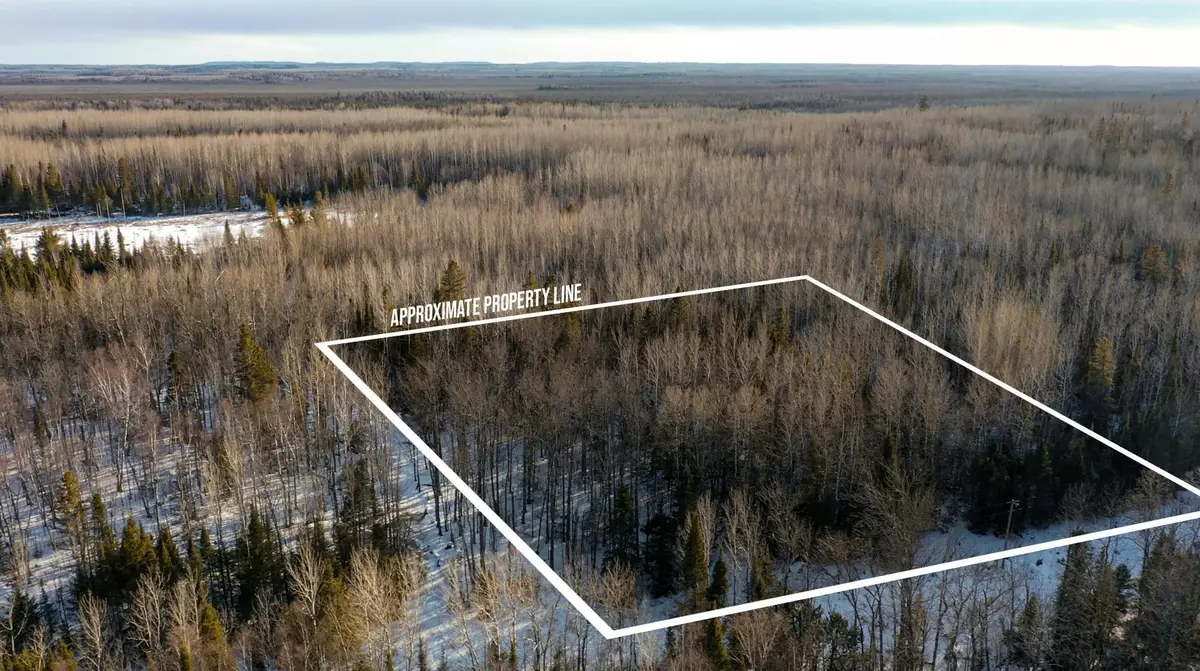 TBD Parcel S Thomas Road, Tower, MN 55790 - #1