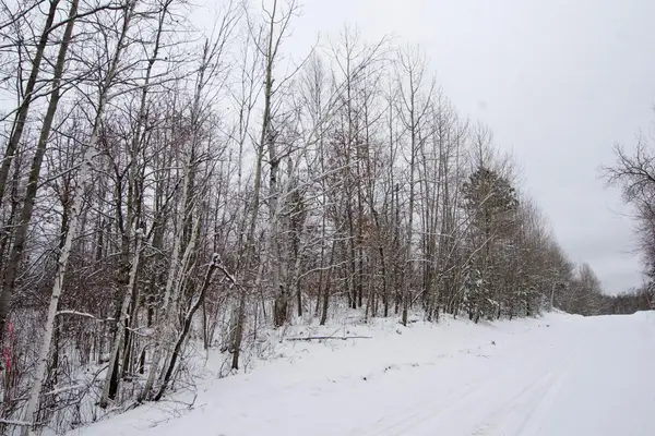 TBD Sheridan Woods Lane Ne, Outing, MN 56662