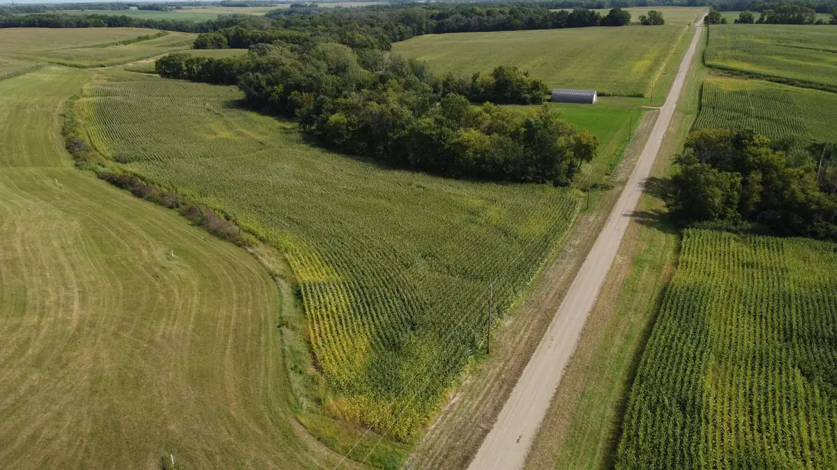 10 AC LOT 216th Ln, Henderson, MN 56044 - #1