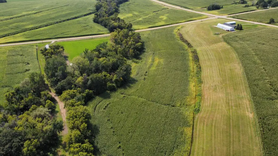 10 AC LOT 216th Ln, Henderson, MN 56044 - #2
