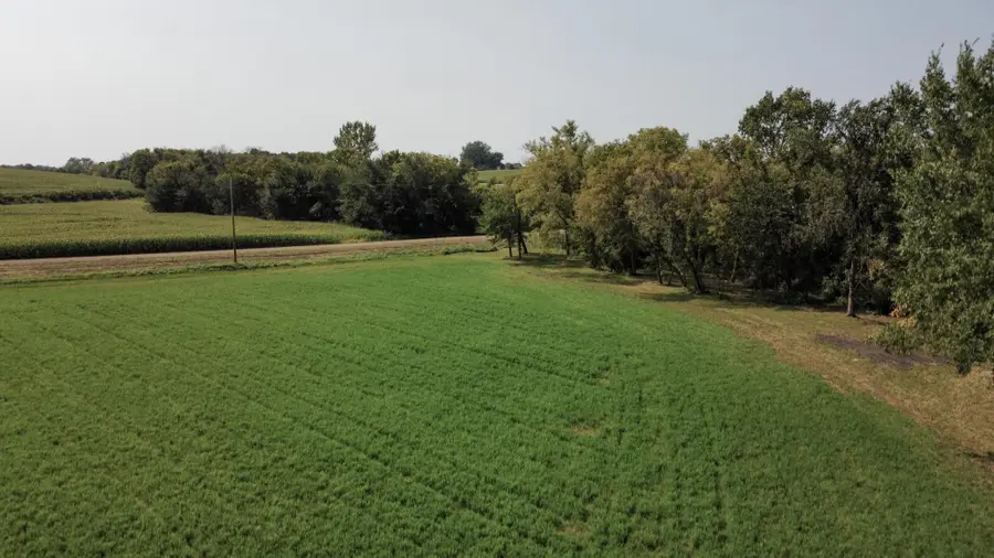 10 AC LOT 216th Ln, Henderson, MN 56044 - #3