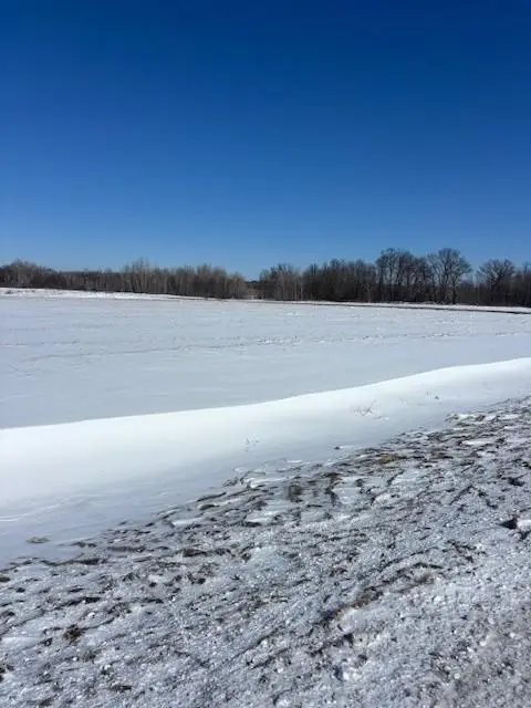 TBD Cains Crossway Sw, Pequot Lakes, MN 56472 - #3