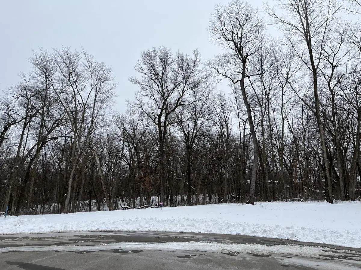 1166 Boulder Creek Lane Sw, Rochester, MN 55902 - #1