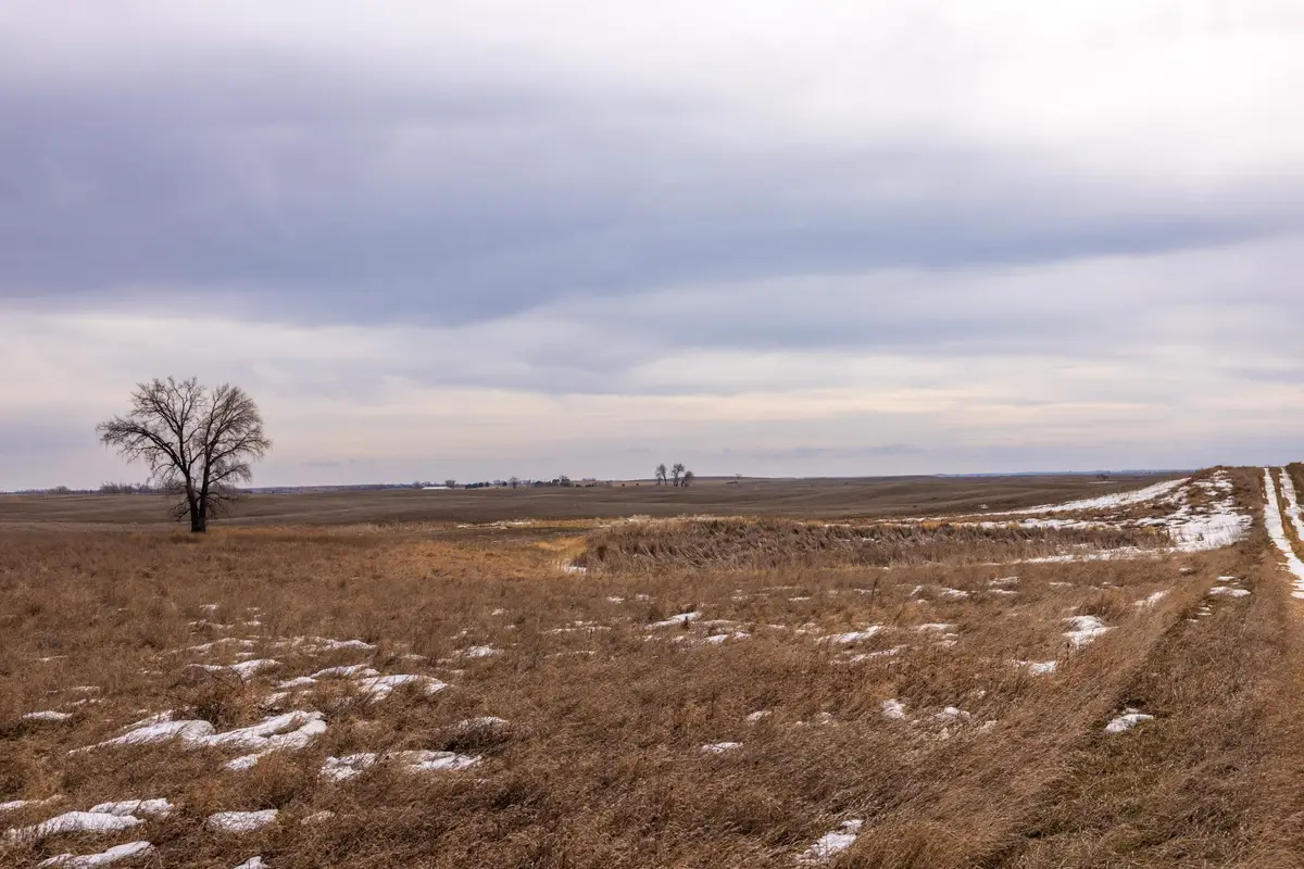 TBD 18 St Nw Parcel 4, Turtle Lake, ND 58575 - #1
