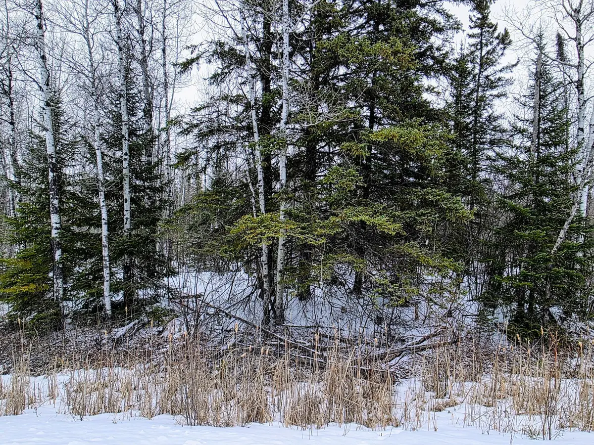 TBD County Road 91, International Falls, MN 56649 - #1