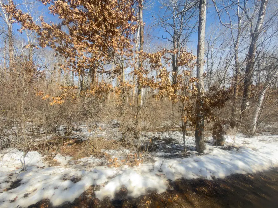 TBD 8 Bog Lake Trail, Osage, MN 56570 - #3