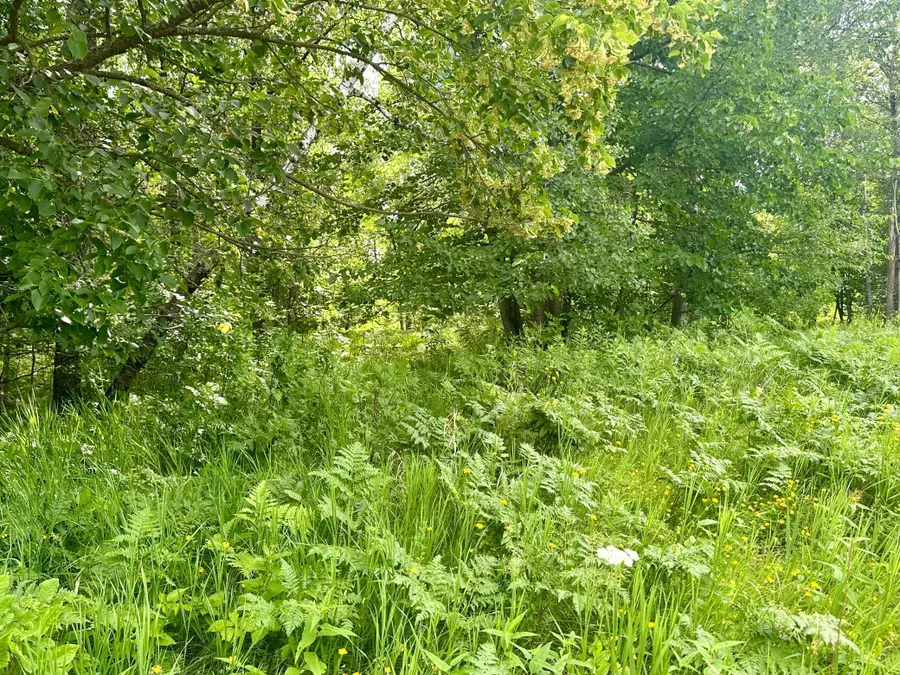 Lot 2 Blk 1 Eagle Drive Nw, Walker, MN 56484 - #2