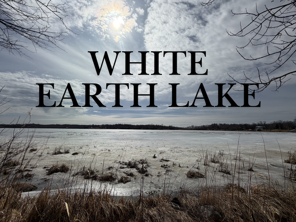 29603 374th Street, Ogema, MN 56569