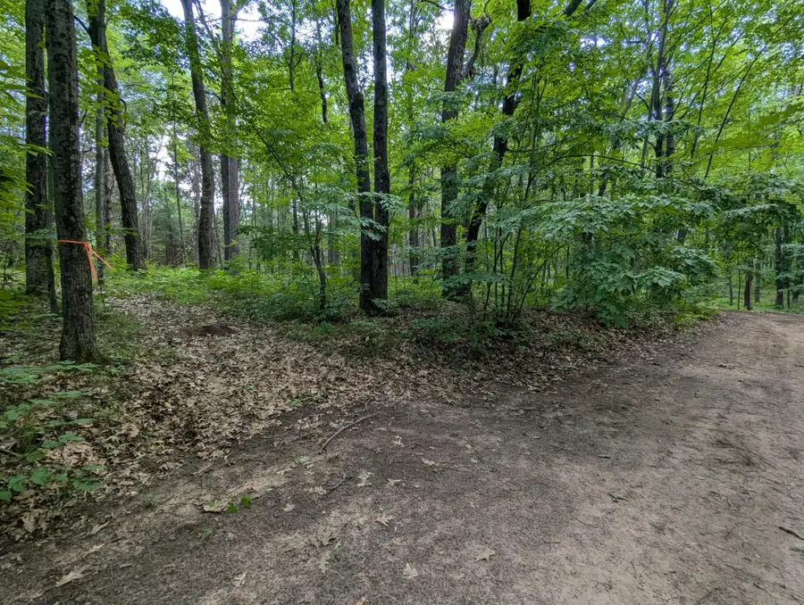 Lot 5 Fosmo, Webster, WI 54893 - #3