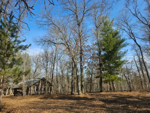 1894 S Lost Lake Road, Danbury, WI 54830