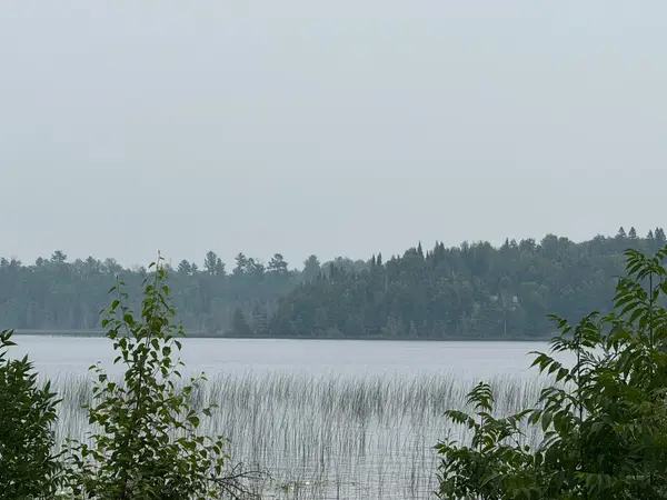 TBD Cedar Point Rd, Marcell, MN 56657