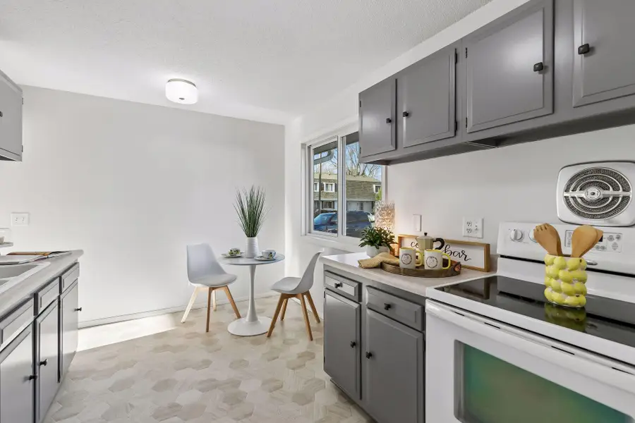 411 Dorland Place, Saint Paul, MN 55119 - #3