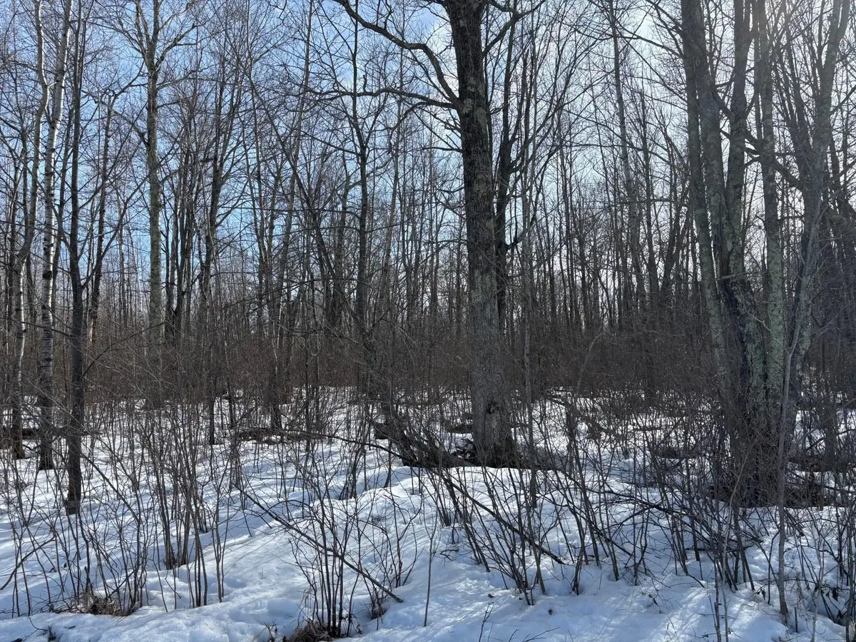 TBD Erickson Road, Kettle River, MN 55757 - #1