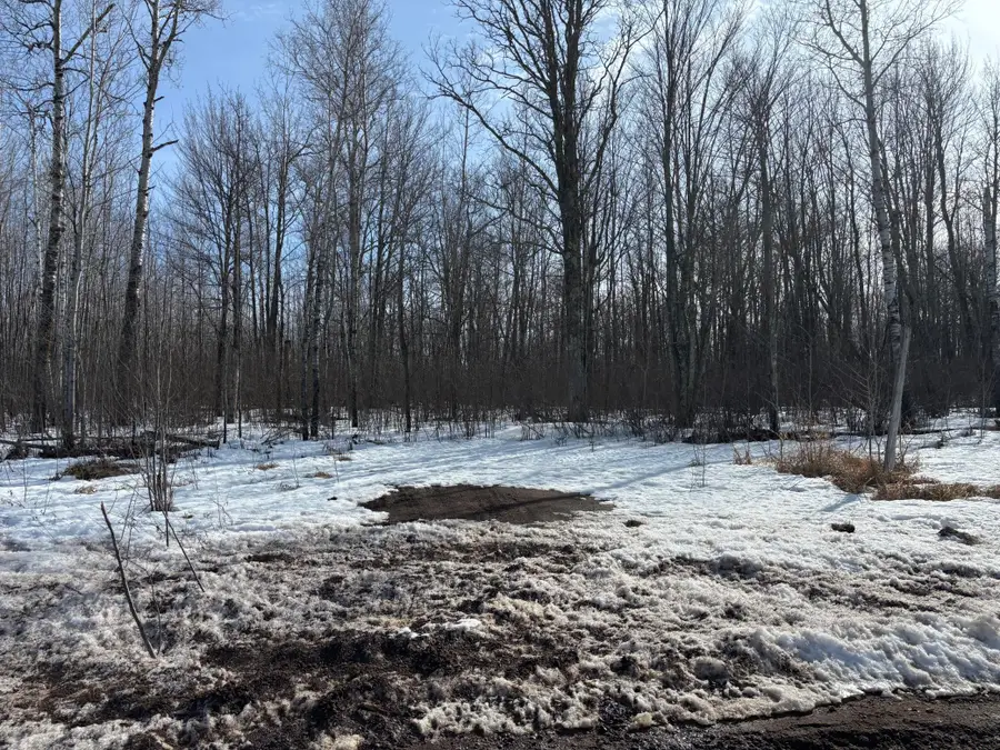 TBD Erickson Road, Kettle River, MN 55757 - #2
