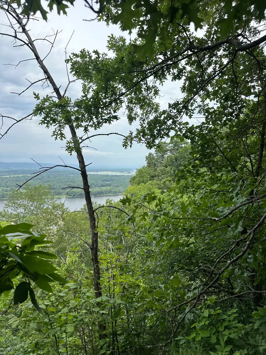Lot 1 Alma Hills, Alma, WI 54610 - #3