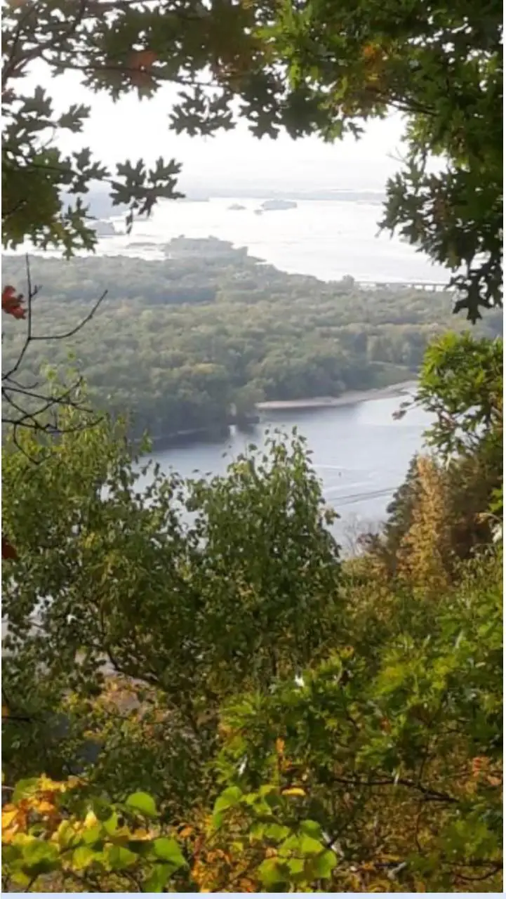 Lot 4 Alma Hills, Alma, WI 54610 - #2