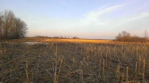 TBD 16-005-0102 Mille Lacs County, Princeton, MN 55371