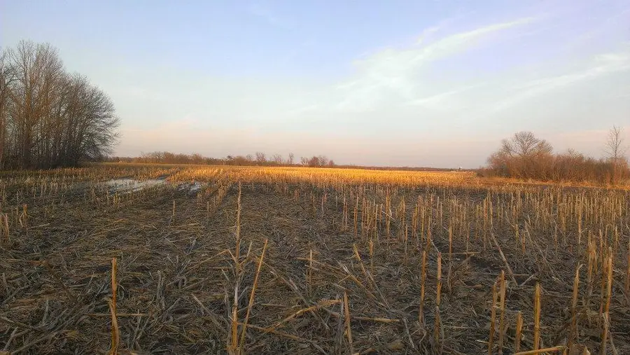 TBD 16-005-0102 Mille Lacs County, Princeton, MN 55371 - #2