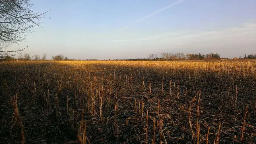 TBD 16-005-0102 Mille Lacs County, Princeton, MN 55371 - #3