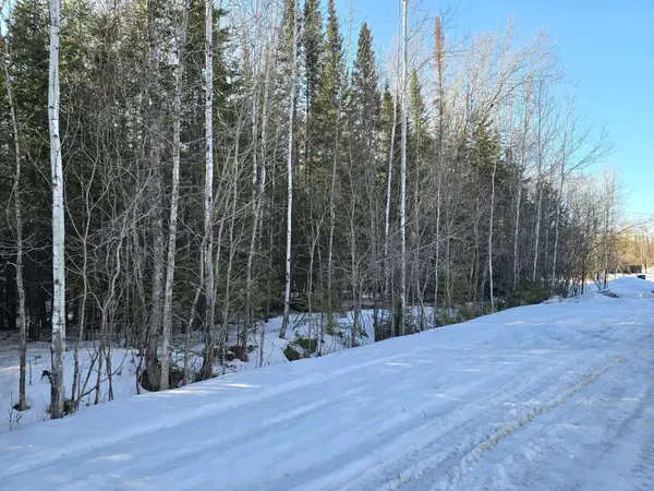 TBD 4th Avenue 22nd Street W, International Falls, MN 56649