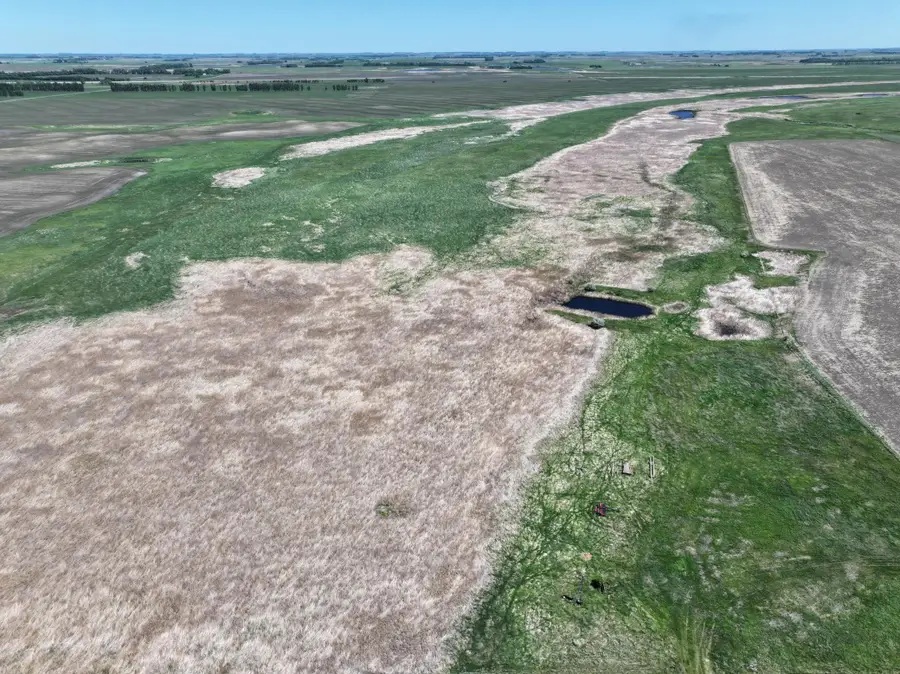 TBD County Road 11, Litchville, ND 58461 - #2