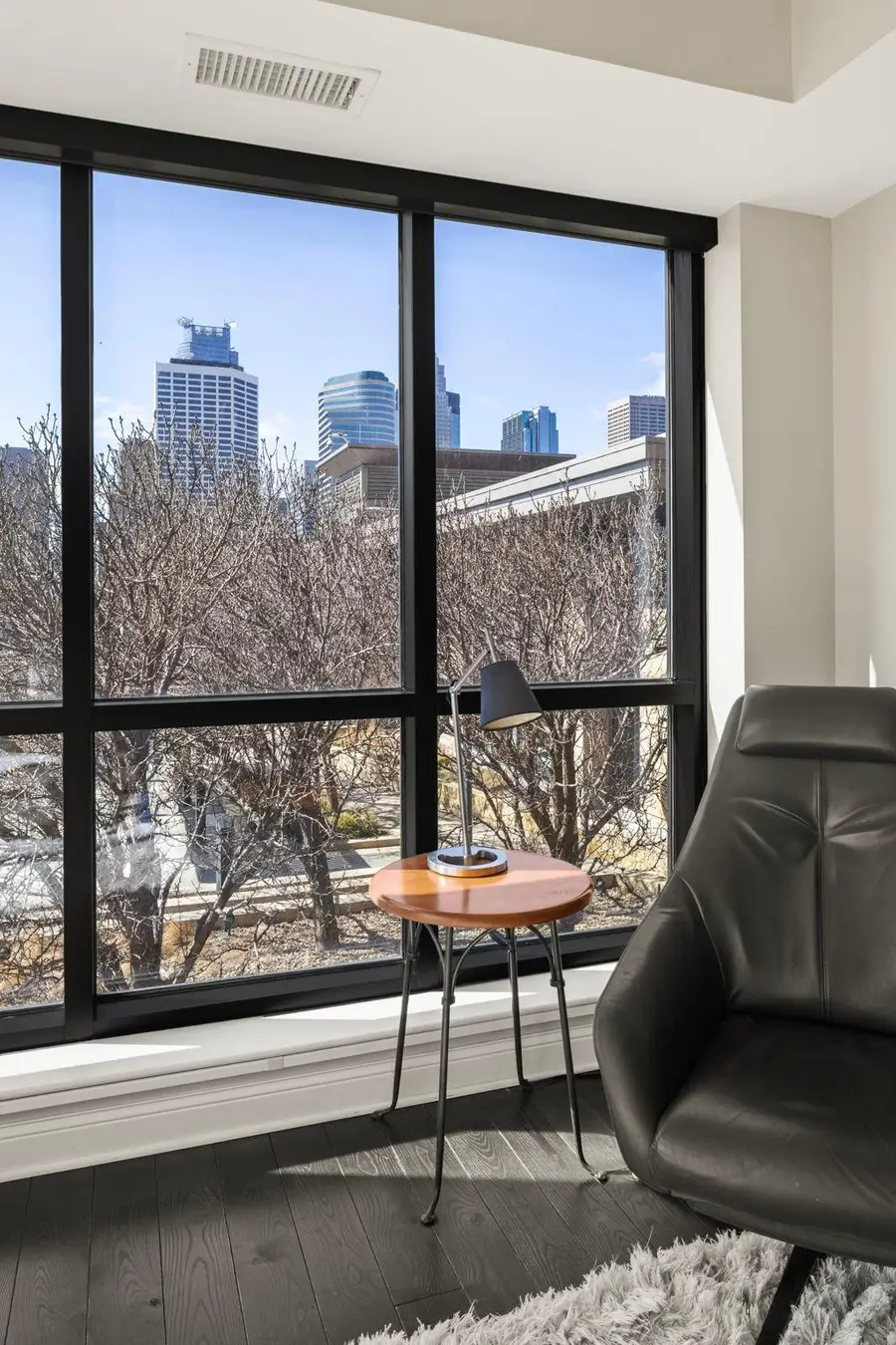 100 3rd Avenue S #607, Minneapolis, MN 55401 - #3