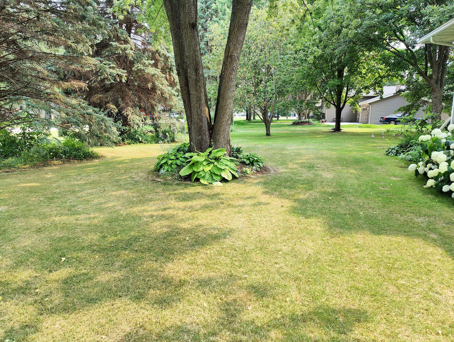 14597 Ryan Street, Little Falls, MN 56345 - #2