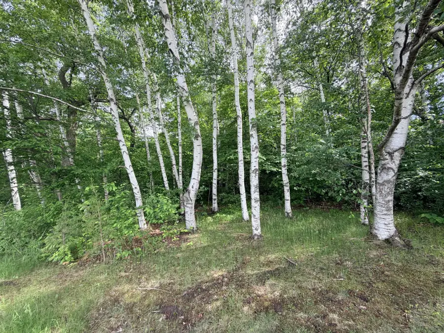 21781 Trestle Ridge Road, Albany, MN 56307 - #3