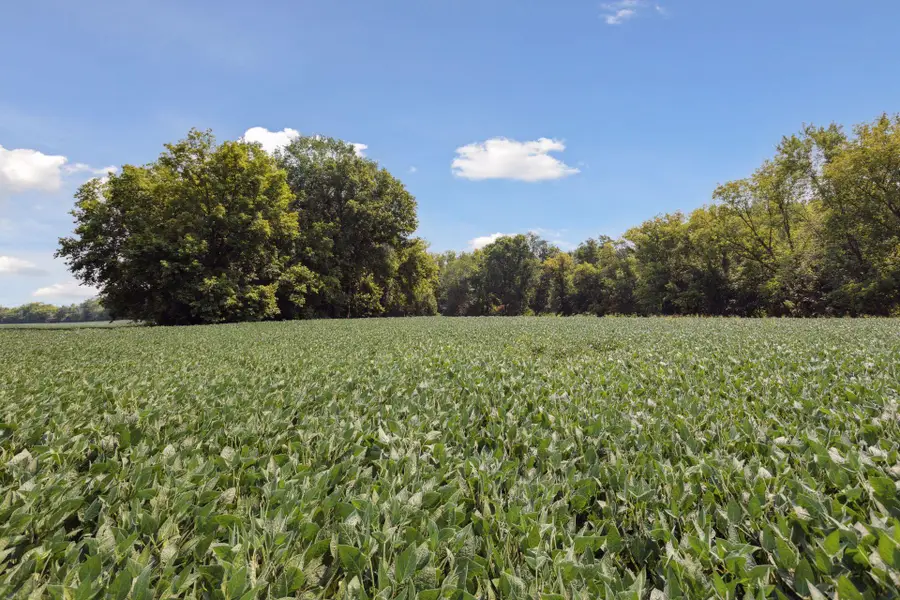 24x3 Holy Name Drive, Medina, MN 55340 - #3