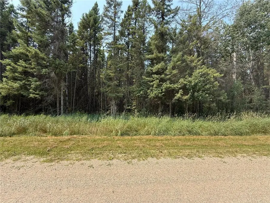TBD 40 Acres Sunflower, Kelliher, MN 56650 - #3